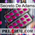 Adams Secret 10